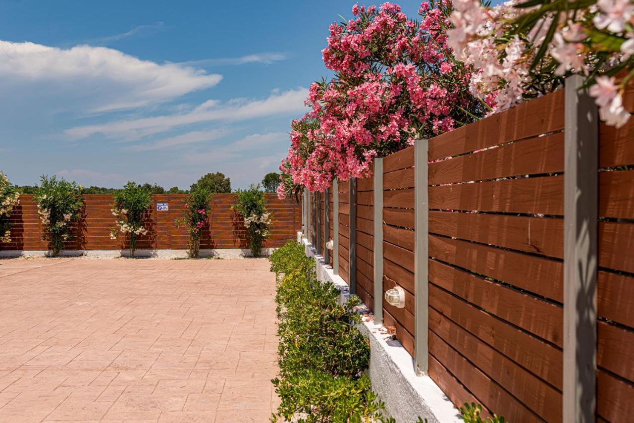 Blossom Villa Laganás Eksteriør bilde